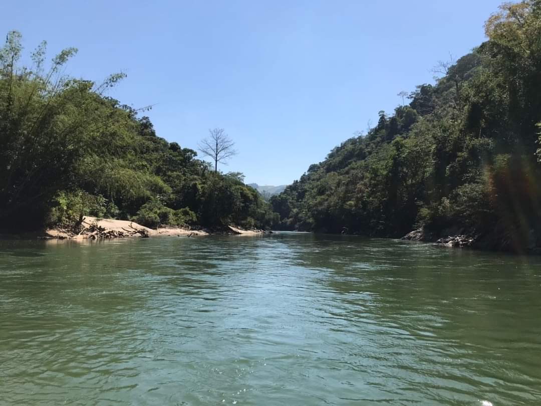 Paisaje del río rodeado de naturaleza